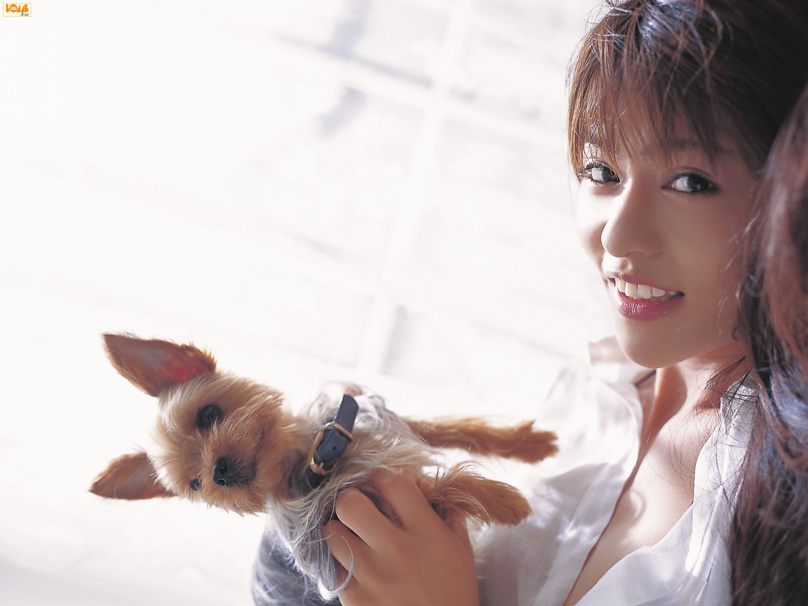 白鸟百合子 bomb.tv 日本性感美女写真 2007-08 Yuriko Shiratori